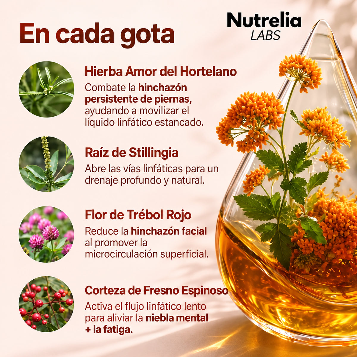 Drenaje Linfático Nutrelia - Gotas Naturales
